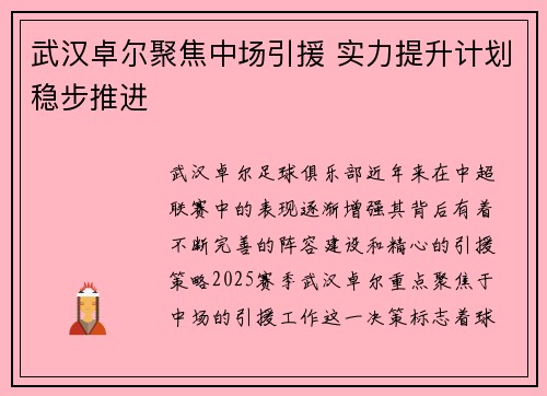 武汉卓尔聚焦中场引援 实力提升计划稳步推进