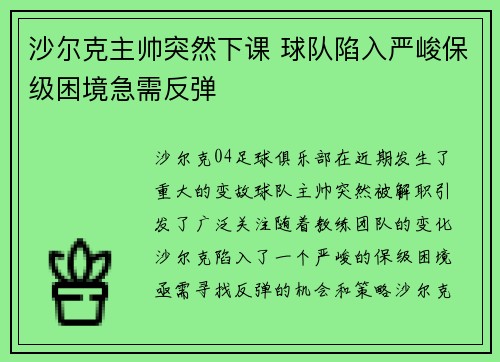 沙尔克主帅突然下课 球队陷入严峻保级困境急需反弹